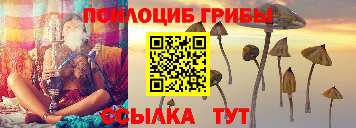 Галлюциногенные грибы прущие грибы Когалым
